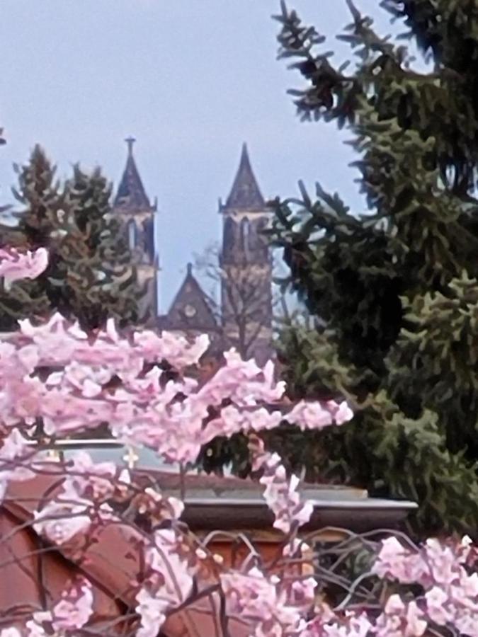 Haus Schmeile Magdeburg Bagian luar foto