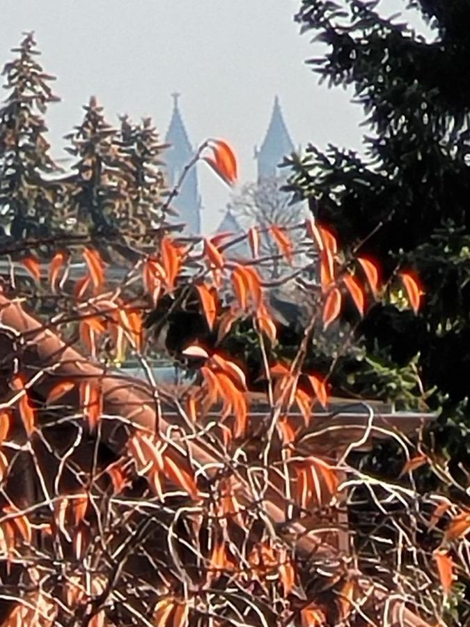 Haus Schmeile Magdeburg Bagian luar foto